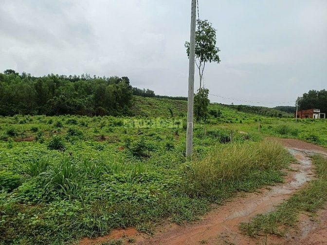 Đất làm khu công nghiệp, dân cư, đầu tư kinh doanh,xây biệt thự cao ốc