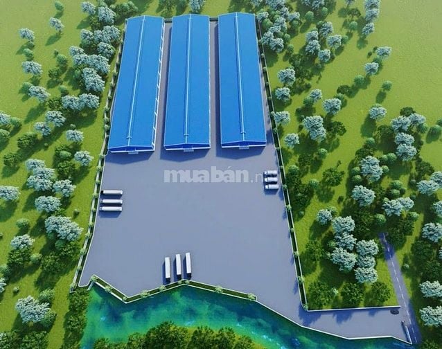 Cho thuê kho xưởng KCN Tân Phú Trung,Củ Chi, KV: 50.000m2, X: 29.000m2