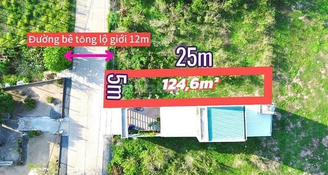 Bán đất 125m2 tại Tân An Hội, Củ Chi, giá siêu hời 740 triệu