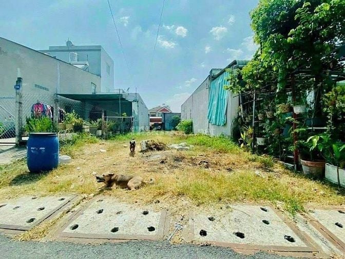 BÁN GẤP LÔ ĐẤT THỊ TRẤN CỦ CHI 139m2 MT NHỰA SHR 880 triệu