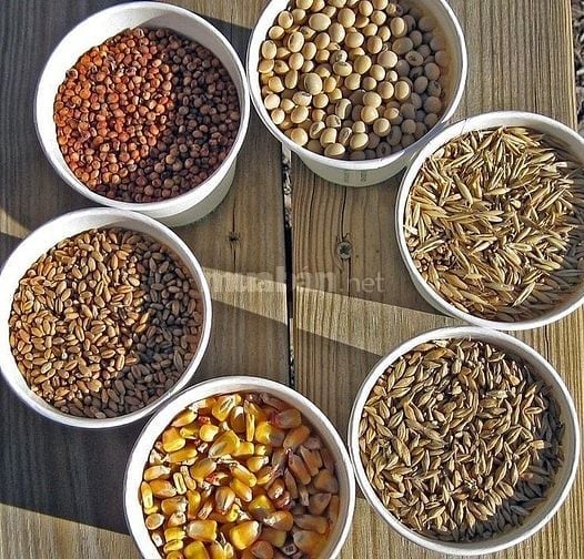 Nguyên liệu thức ăn chăn nuôi, thủy sản