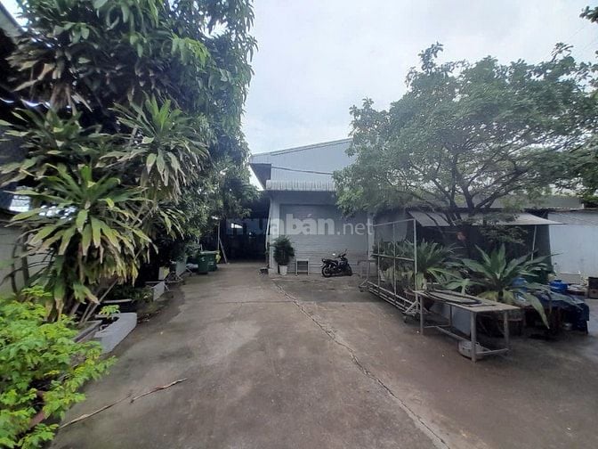 Kho xưởng cho thuê Quận Gò Vấp , DT: 3,200m2 
