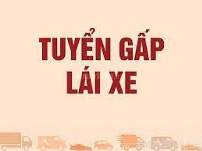 Tuyển lái xe tải 2,4 tấn đi làm ngay, bằng B2 trở lên, có kinh nghiệm