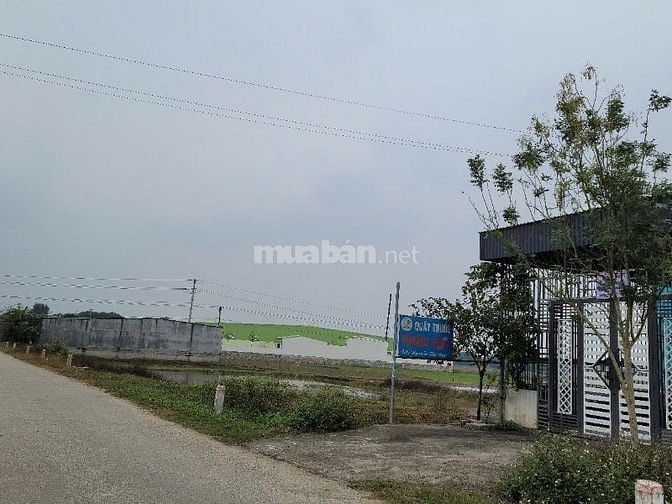 Bán nhà đất mặt đường Minh Nghĩa, Nông Cống