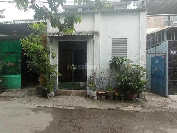 Bán nhà đất đang ở và cho thuê