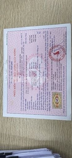 Mất Phiếu Chất Lượng Xuất Xưởng 