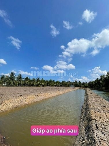 160tr đất vườn sẵn thổ cư cách SG chỉ 70km tại Tân Phú Đông,Tiền Giang
