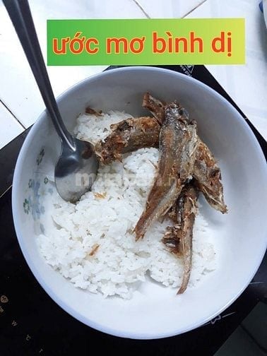 cần tìm việc lao động phổ thông hay bảo vệ ( biết lái xe ô tô) 