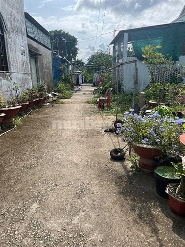 Bán lô đất nền gần tp vĩnh long 