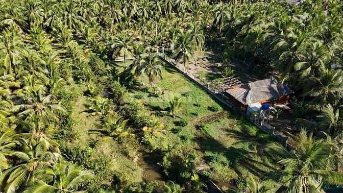 Chỉ 450triệu - 1,500m2 vườn dừa sẵn 100m2 thổ cư tại Tân Phú Đông