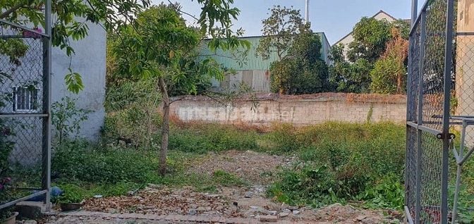 Bán đất Nguyễn An Ninh ngay chợ Dĩ An tiện làm biệt thự, CHDV… 