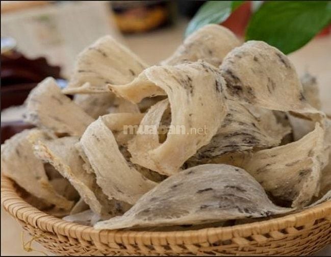 Tổ yến Khánh Hòa – Tinh hoa thiên nhiên cho sức khỏe vàng