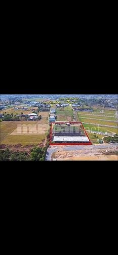 Chính chủ cần bán đất ở đường Rừng Dầu, Mỹ Hạnh Bắc, Đức Hòa, Long An