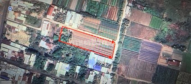 Chính chủ cho thuê đất diện tích lớn tại trung tâm Tân Hưng, TP.BàRịa