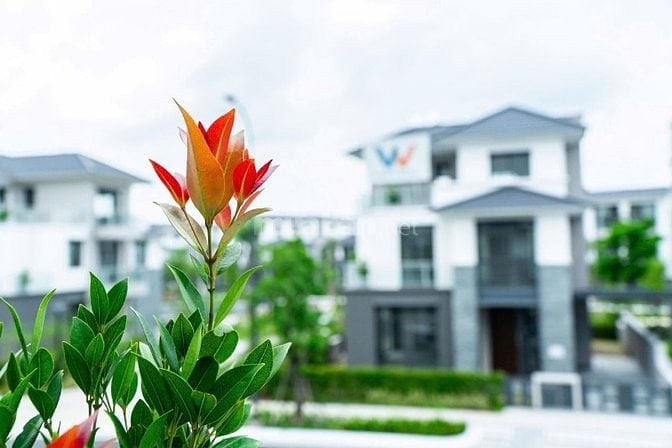 Bán biệt thự Khang Điền mới nhất tại Trung tâm Quận 2