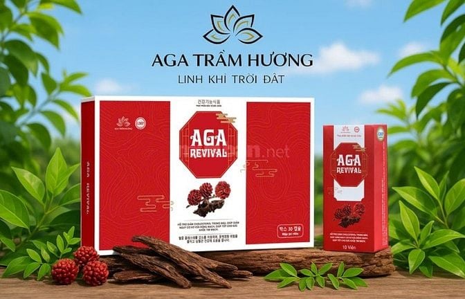 Tuyển Trưởng Phòng Kinh Doanh ngành Y - Dược- CSSK