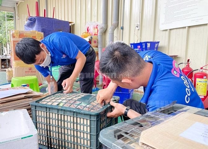 TUYỂN 10 NHÂN SỰ LÀM VIỆC CHÍNH THỨC LÂU DÀI TRONG SIÊU THỊ 