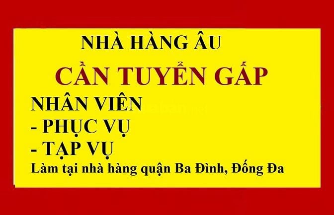 Tuyển gấp nhân viên phục vụ, tạp vụ Nhà hàng Âu,