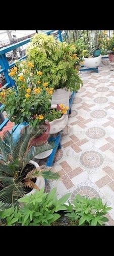 Nhà phố một lầu khu dân cư hiện hữu 
