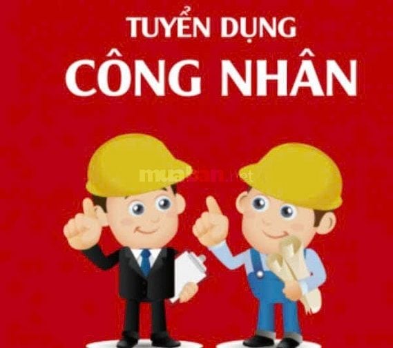 PHÁT TRIỂN KHO, XƯỞNG CẦN TUYỂN THÊM CÔNG NHÂN KHO
