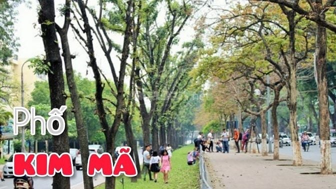 Cần bán hà riêng 91m chính chủ phường Kim Mã, phố Kĩm Mã quận Ba Đình