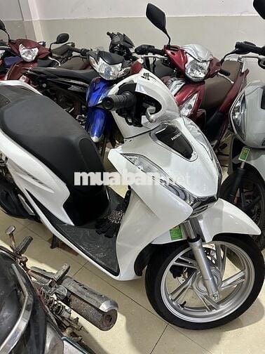 Xe zin từ trong ra ngoài