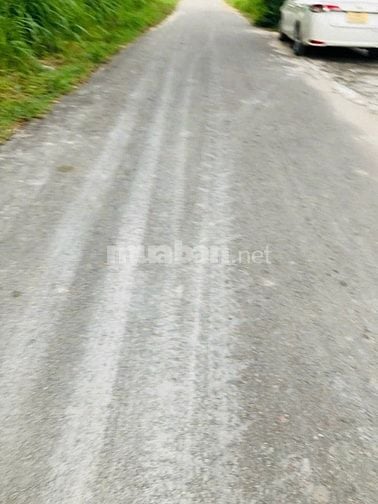 Chính chủ bán đất vườn vị trí đẹp đường 646 , Phước Thạnh, Củ Chi