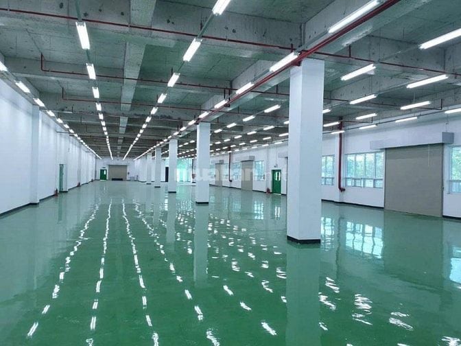 Cho thuê kho 3.000m2, KV 5.000m2 tại Lê Văn Qưới, gần Bốn Xã, giá tốt