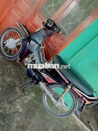 Dream tq 2manh