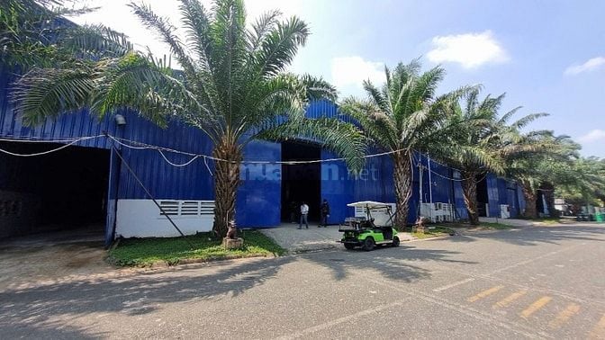 Cho thuê kho xưởng,DT:1.000m2 – 2.000m2 ngay Trần Văn Giàu, Bình Chánh