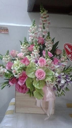 NHẬN LÀM KẾ TOÁN.Hỗ trợ MIỄNPHÍ kê khai thuế ban đầu CTy mới thành lập