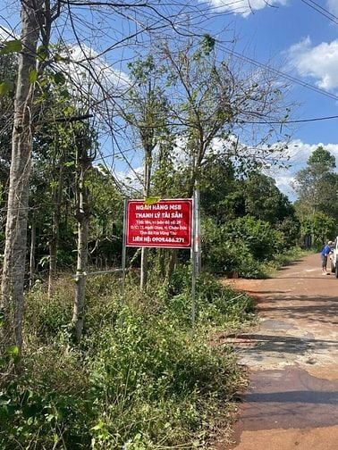 CTY ĐẤU GIÁ HỢP DANH TRỰC TUYẾN VIỆT NAM (VNOA) TỔ CHỨC ĐẤU GIÁ