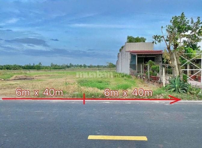 Bán đất đường Hồ Văn Tắng, Củ Chi. Mặt tiền kinh doanh 12m, giá 710Tr