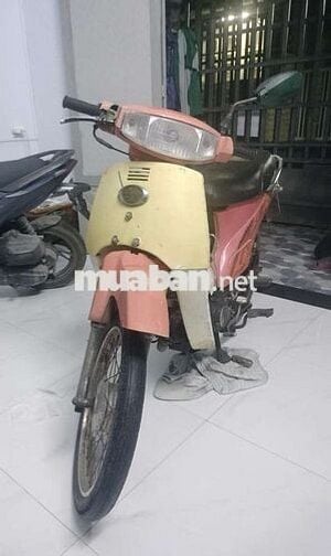 Kawasaki Max