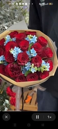 Shophoa PHƯƠNG LIÊN có đa dạng mẫu hoa mới lạ, trẻ trung, hiện đại