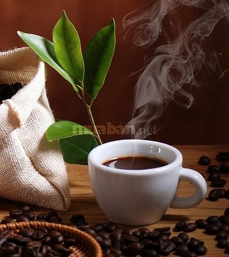 💖 Tuyển nhân viên bán trà sữa tại quán có làm xoay ca cho sinh viên💖