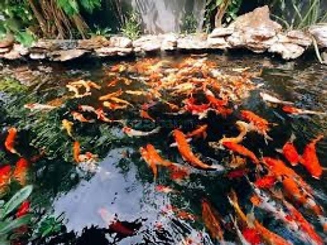 VIỆC LÀM THÊM CHO SINH VIÊN - LĐPT