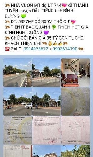 🐅 CẦN BÁN NHÀ VƯỜN TỈNH BÌNH DƯƠNG💖