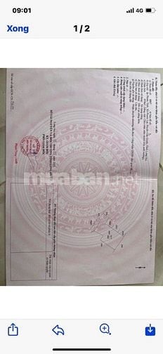 Đất thổ cư xã Phước Lại, Cần Giuộc. hẻm xe máy  960m2 giá 3,7 tỷ