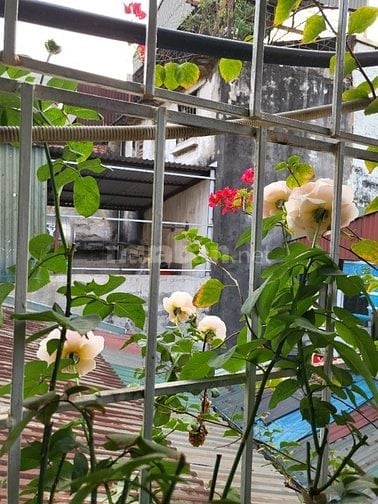 Bán nhà tầng 3 biệt thự Pháp phố cổ một nhà ra mặt phố
