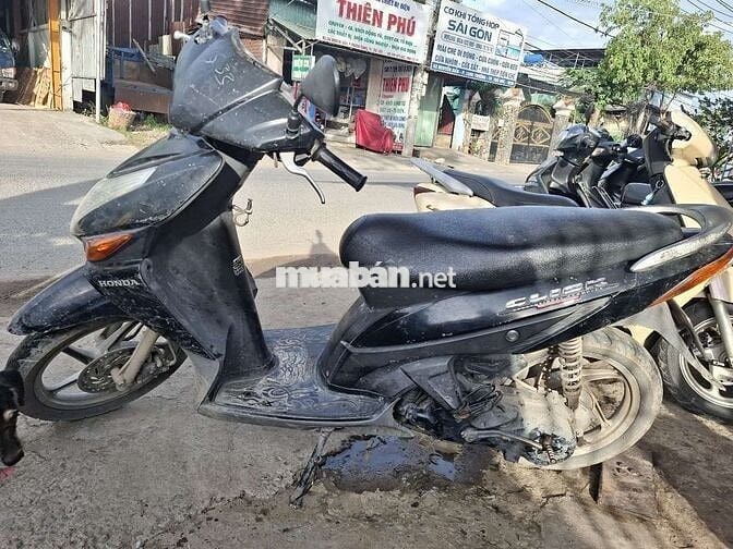 Honda zin im