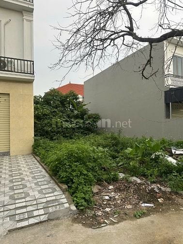 Bán 63m2 đất đẹp vuông vắn SĐCC tại Tràng Minh ,Phù Lưu Kiến 