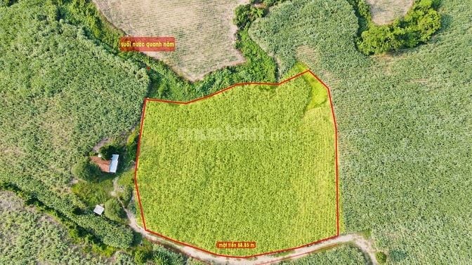 2.516m đất Nông nghiệp giá 250tr giáp suối tại Ninh Thượng - Ninh Hoà