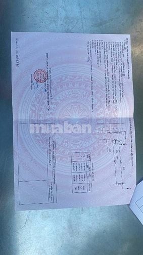 NẰM NGAY MT ĐƯỜNG LỚN TRẦN VĂN CHẨM KDC ĐÔNG ĐÚC GIÁ CHỈ 710 TRIỆU