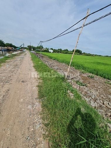 Bán đất gia đình , 1 xẹc đường ĐỖ VĂN DẬY gần cầu Xáng Hóc Môn
