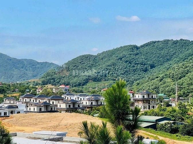 BÁN LÔ ĐẤT VÀNG 8000M² - ĐƯỜNG BÃI DÀI, TIẾN XUÂN, THẠCH THẤT
