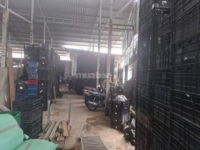 Đất trang trại hạ tầng hoàn chỉnh cần bán
