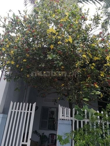 Nhà Bán Tp Nha Trang, gần Biền bờ kè Hà Ra, giá 2.45t