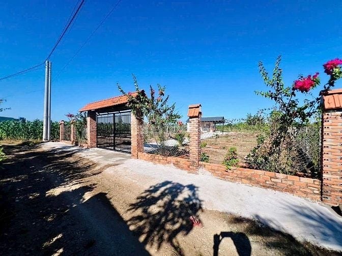 Bán Gấp Nhà Vườn Liền Kề Hồ Đã Xây Rào Và Trồng Cây Ăn Trái Chỉ 1.5 Tỷ