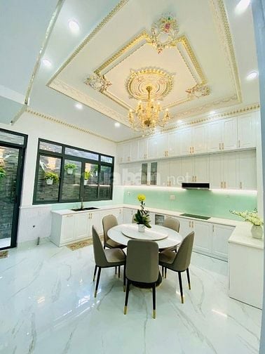 Bán biệt thự 4 tầng đường nhựa 7m xe hơi quay đầu ngủ trong nhà.